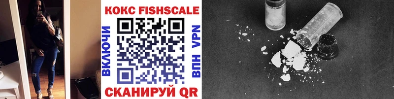 Купить закладки  Черкесск  Cocaine Fish Scale 