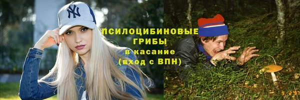 гашик Костерёво