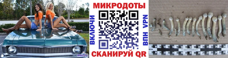 Псилоцибиновые грибы ЛСД  Купить  Черкесск 